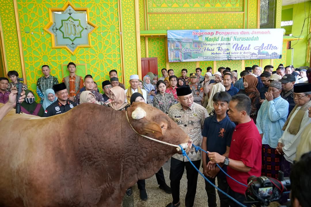 Gubernur Lampung Serahkan Bantuan Sapi Kurban dari Presiden RI